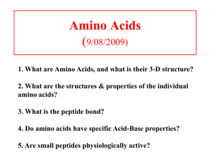 Amino Acids - University of Houston