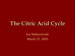 The Citric Acid Cycle - Rubin Risto Gulaboski