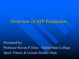 Overview of ATP Production