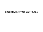 BIOCHEMISTRY OF CARTILAGE