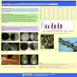 Exploring soil biology to understand high yields due to