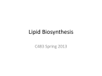 Lipid Biosynthesis - Chemistry Courses: About: Department