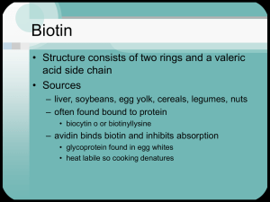PowerPoint Presentation - Biotin Conclusion and Discussion