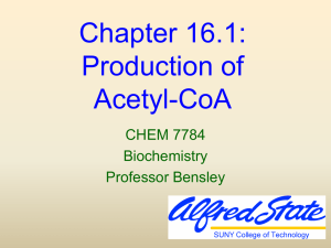 The Citric Acid Cycle - Alfred State College