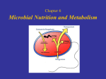 Chapter 6 Nutrition and Metabolism