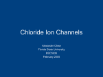 Chloride Ion Channels - FSU Program in Neuroscience
