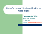 Manufacture of biodiesel fuel from microalgae