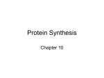 Protein Synthesis - science4warriors
