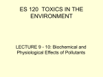 ES 120 TOXICS IN THE ENVIRONMENT