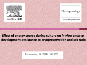 Effect of energy source during culture on in vitro embryo