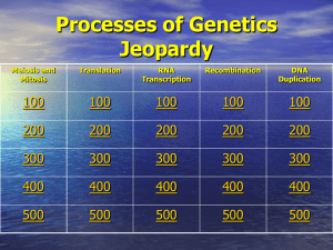 Zebrafish Jeopardy