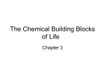 The Chemical Building Blocks of Life