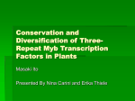 Conservation and Diversification of Three
