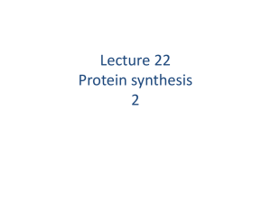 Protein synthesis 2 - Pima Community College : Directories