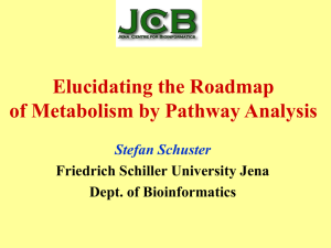metabolic pathways - MPG Systems Biology Forum