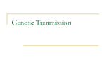 DNA Structure, Replication, and Repair