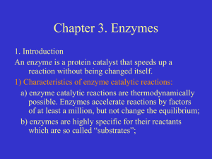 Chapter 3. Enzymes