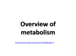 Overview of metabolism