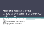 Atomistic modeling of the structural components of the