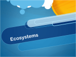 Ecosystems - East Tech Titans