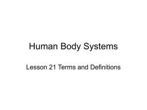 Human Body Systems