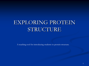 EXPLORING PROTEIN STRUCTURE