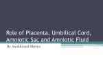 Role of Placenta, Umbilical Cord, Amniotic Sac and