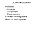 Mitochondrial Inputs - School of Applied Physiology