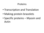 Proteins - Wesleyan College Faculty