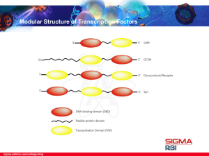 Analytical and Chromatography - Sigma