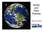 Nickel and Plant Disease - International Plant Nutrition