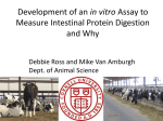 Intestinal Protein digestion in vitro Assay