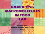 IDENTIFYING MACROMOLECULES IN FOOD LAB