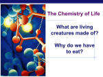 The Chemistry of Life