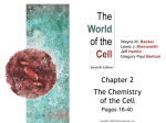 Molecular Representations - West Chester University of