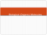 Biological (organic) Molecules