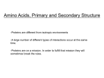 Amino Acids, Primary and Secondary Structure