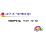 Kitchen Microbiology