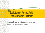 Evolution of Amino Acid Frequencies in Proteins