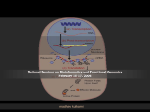 Co-translational Folding