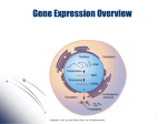 Gene Expression Overview - University of California, Irvine