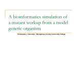 A bioinformatics simulation of a mutant workup from a