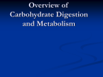 Overview of Carbohydrate Digestion and Metabolism