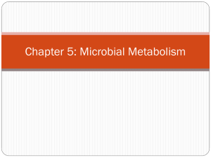 Chapter 5: Microbial Metabolism