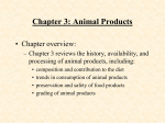 Chapter 1: Animal Agriculture