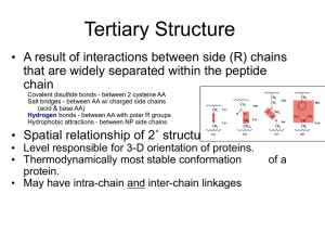 Tertiary Structure - Rogue Community College