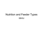 Nutrition and Feeder Types