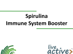 Spirulina – Immune System Booster