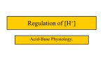 Regulation of [H+] - Rowdy | Rowdy | MSU Denver