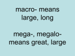 macro- large, long mega-, megalo